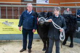 Champion Galloway at Dumfries Christmas Show from Messrs Paterson Low Three Mark weighing 670kg and sold for 230p-kg-5